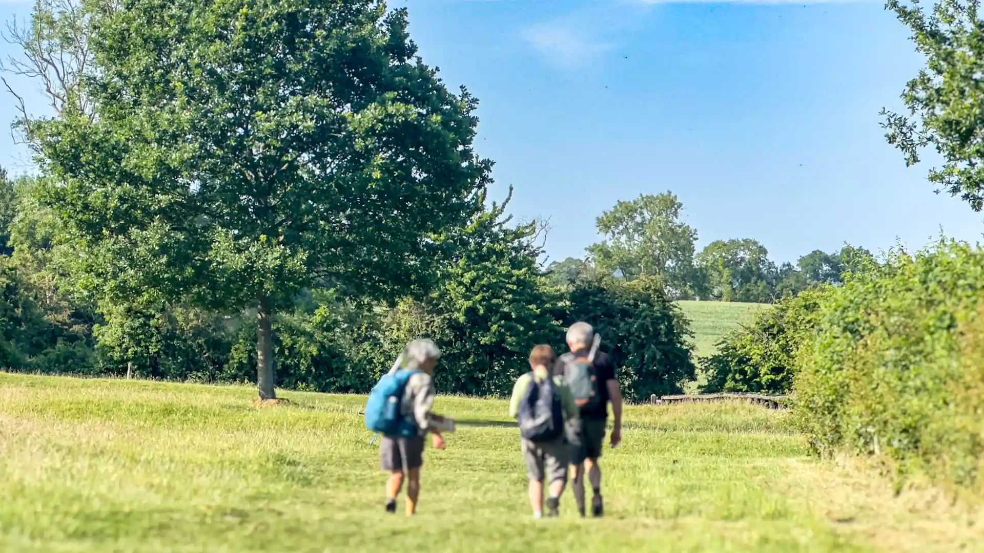 Walkers on the Cotswold Way National Trail crossing open countryside in the Cotswolds, England.