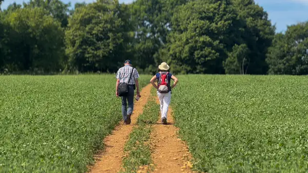 Walkers on a farm track along the Cotswold Way, surrounded by open countryside