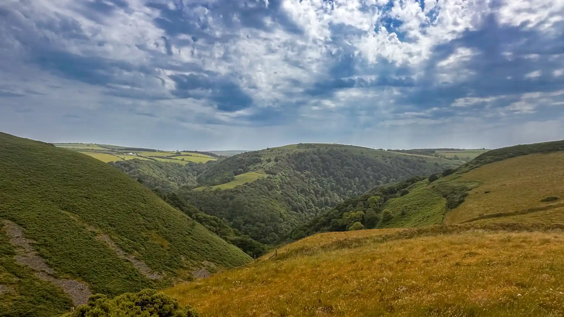 Rolling hills and wooded valleys in Exmoor National Park near Countisbury.