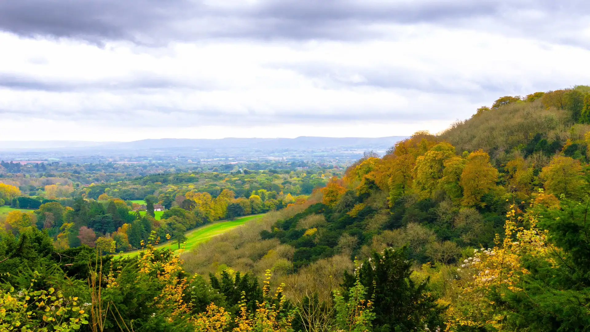 Autumn landscape of the South Downs National Park with colourful woodland on a hillside, sweeping green fields, and wide views across the valley under a cloudy sky.
