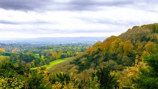 Autumn landscape of the South Downs National Park with colourful woodland on a hillside, sweeping green fields, and wide views across the valley under a cloudy sky.