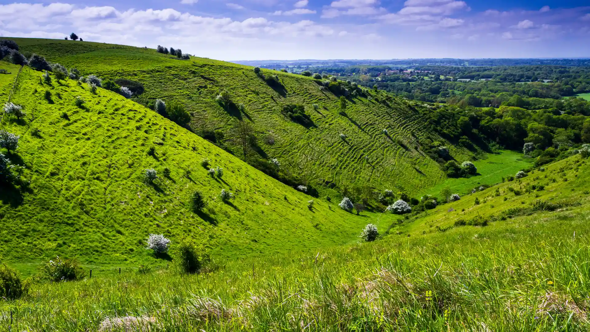 A bright sunny spring down on the Kent downs near wye looking down the valley at Devils Kneeding trough south east England.
