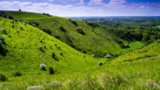 A bright sunny spring down on the Kent downs near wye looking down the valley at Devils Kneeding trough south east England.