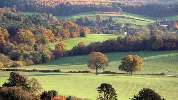 Autumn view across the Surrey Hills National Landscape, with rolling green fields, scattered trees, and wooded ridges leading to a distant village under soft light.