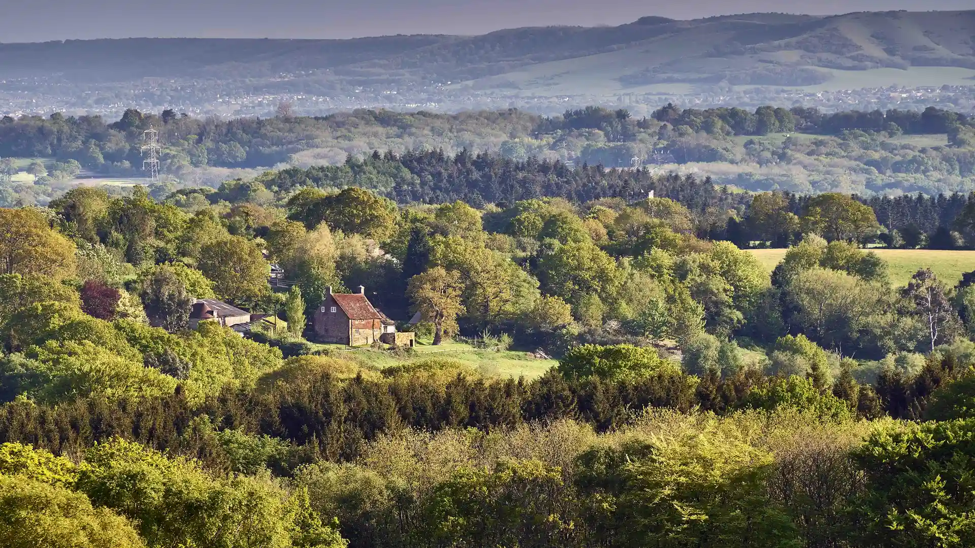 A view across the rolling green hills and dense woodland of the High Weald National Landscape, with scattered farmhouses and the South Downs ridge visible in the distance.