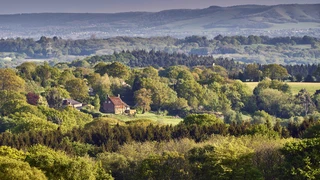 A view across the rolling green hills and dense woodland of the High Weald National Landscape, with scattered farmhouses and the South Downs ridge visible in the distance.
