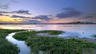 Saltmarsh and tidal creeks at sunset in the Chichester Harbour National Landscape.