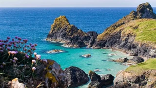Turquoise sea and rugged cliffs at Kynance Cove on the Lizard Peninsula, part of Cornwall National Landscape, with wildflowers in the foreground.