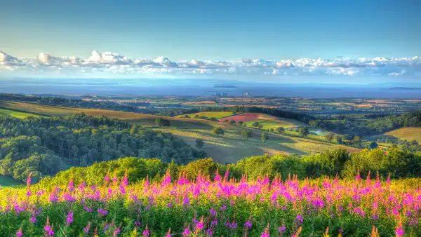 View across the Quantock Hills National Landscape in Somerset with summer wildflowers, rolling farmland, and distant sea views.
