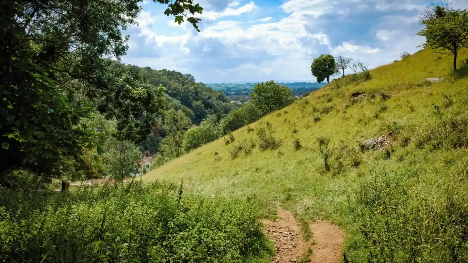 Walking trail through grassy slopes and woodland in the Mendip Hills National Landscape, Somerset, with views across the countryside.