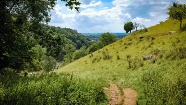 Walking trail through grassy slopes and woodland in the Mendip Hills National Landscape, Somerset, with views across the countryside.