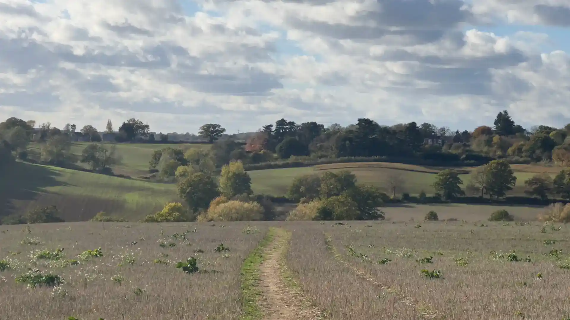 A footpath winding through rolling farmland and wooded hills in the Dedham Vale National Landscape on an autumn afternoon, highlighting the area’s peaceful rural scenery and natural beauty.
