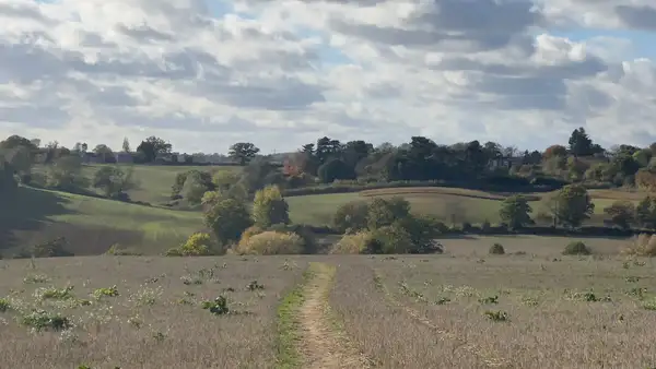 A footpath winding through rolling farmland and wooded hills in the Dedham Vale National Landscape on an autumn afternoon, highlighting the area’s peaceful rural scenery and natural beauty.