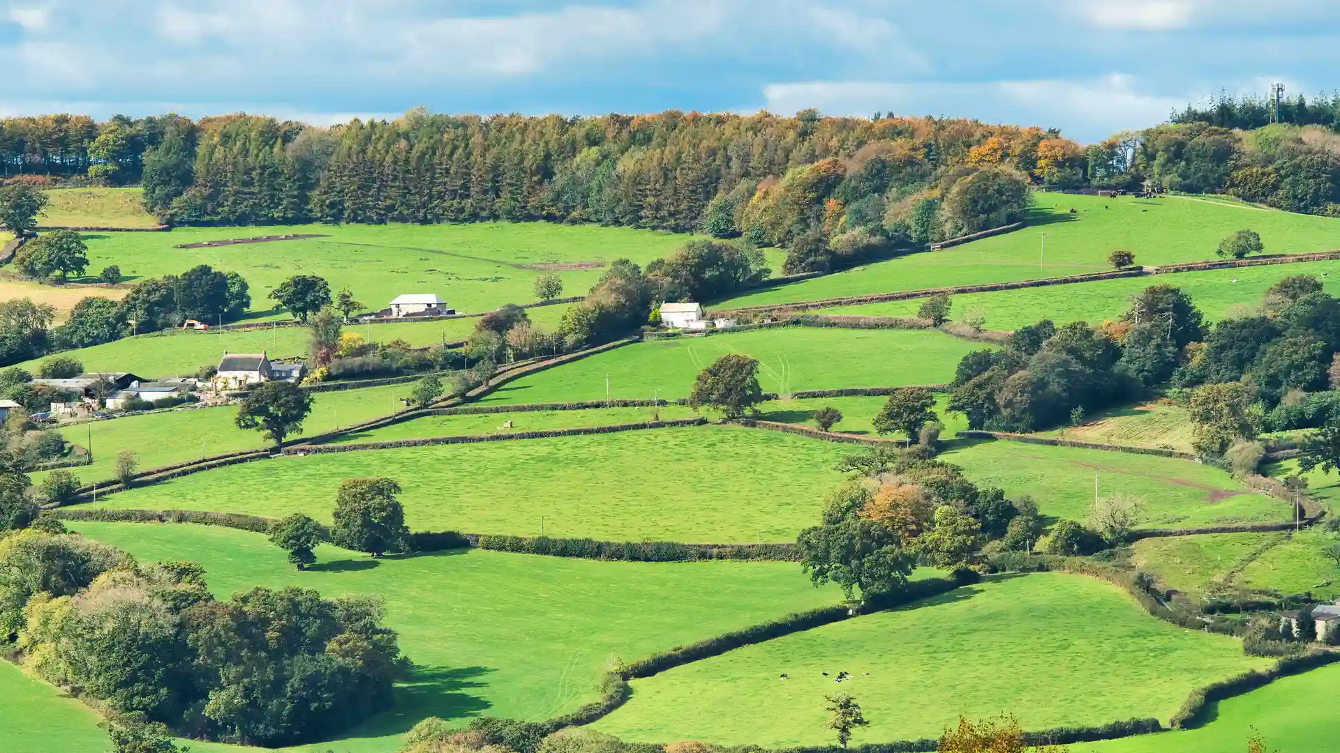 Rolling farmland and wooded valleys in the Blackdown Hills National Landscape on the Devon–Somerset border.