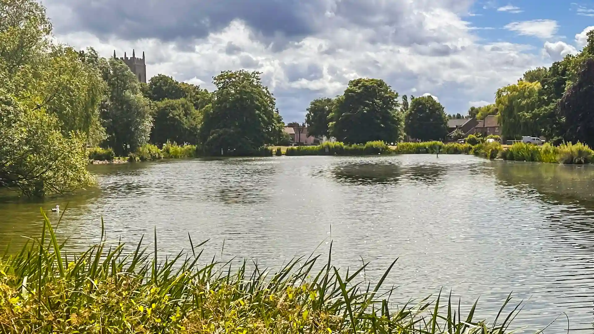 A stone church with a square tower framed by bare trees, seen across a village green where a goose and goslings graze on the grass in Great Massingham.