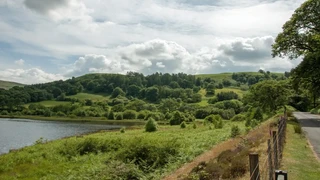 A quiet country road winding beside a lake and green wooded hills in the Cambrian Mountains National Landscape, Mid Wales, under a bright summer sky.