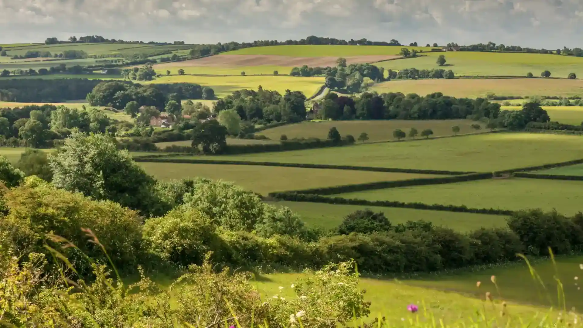 A panoramic view of the rolling green farmland and hedgerows of the Lincolnshire Wolds National Landscape, seen from a hillside overlooking fields and scattered trees under a cloudy summer sky.