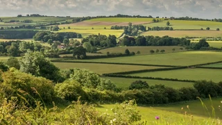 A panoramic view of the rolling green farmland and hedgerows of the Lincolnshire Wolds National Landscape, seen from a hillside overlooking fields and scattered trees under a cloudy summer sky.