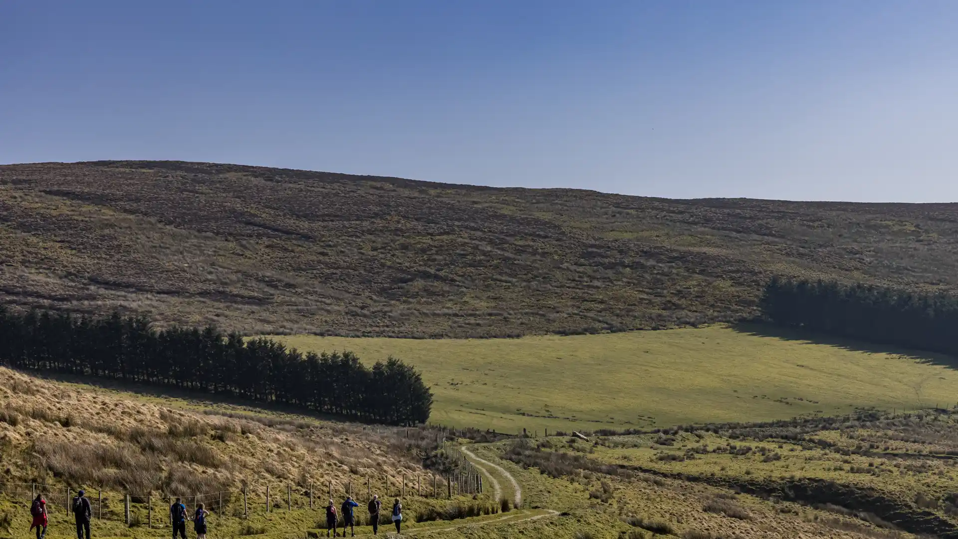 Walkers following a rural track across open moorland on the Ulster Way, Northern Ireland.