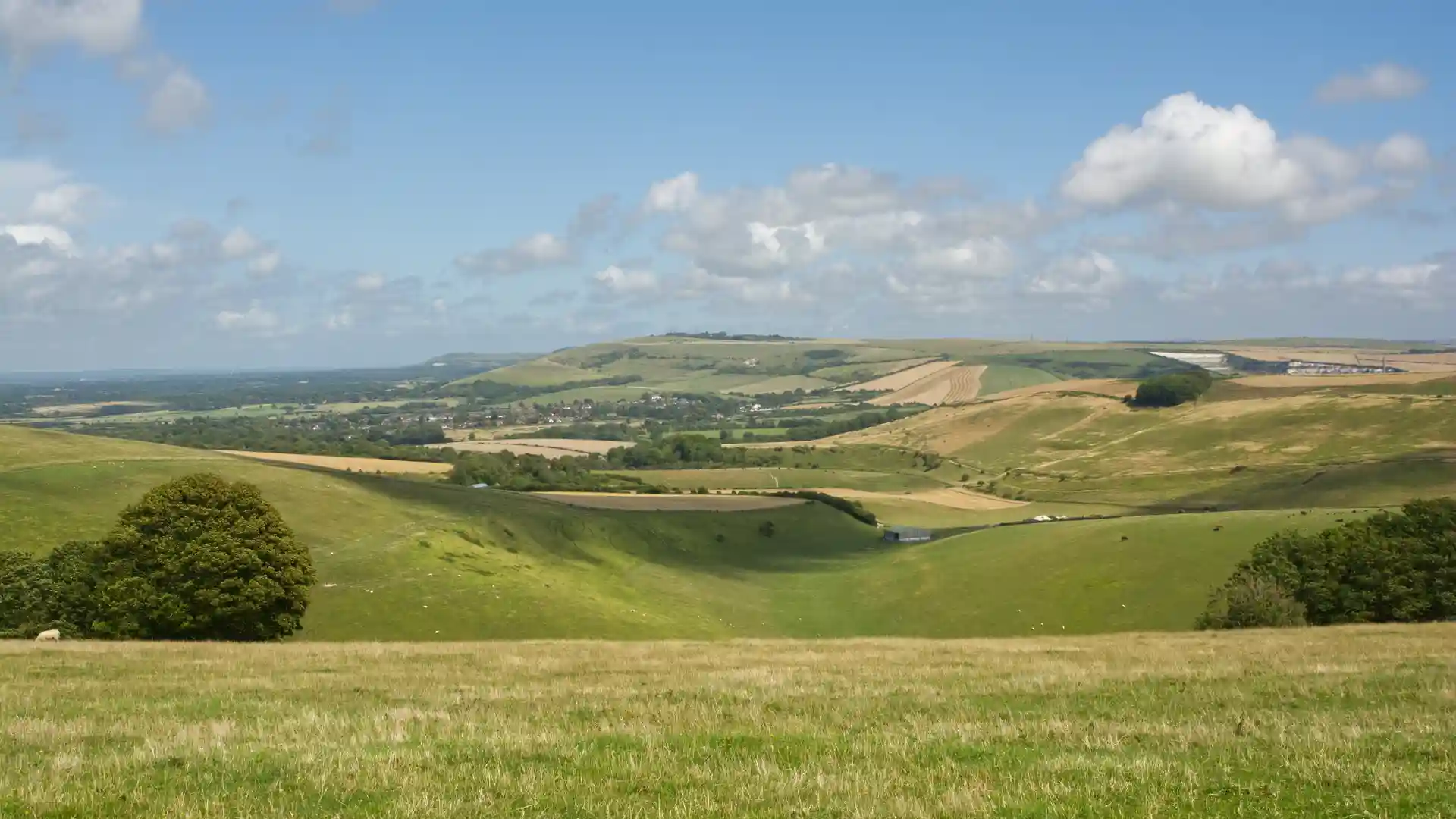 Rolling chalk downland and farmland along the Downs Link in West Sussex.