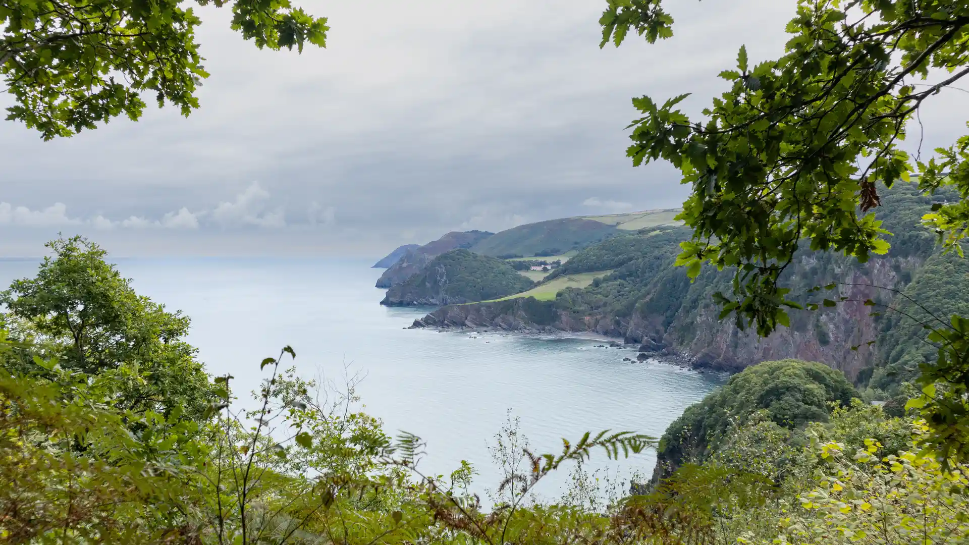 Coastal cliffs and headlands along the South West Coast Path in Devon.