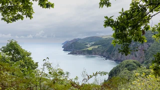Coastal cliffs and headlands along the South West Coast Path in Devon.