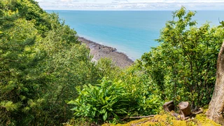 Wooded cliffs and rocky shoreline on the South West Coast Path in Exmoor.