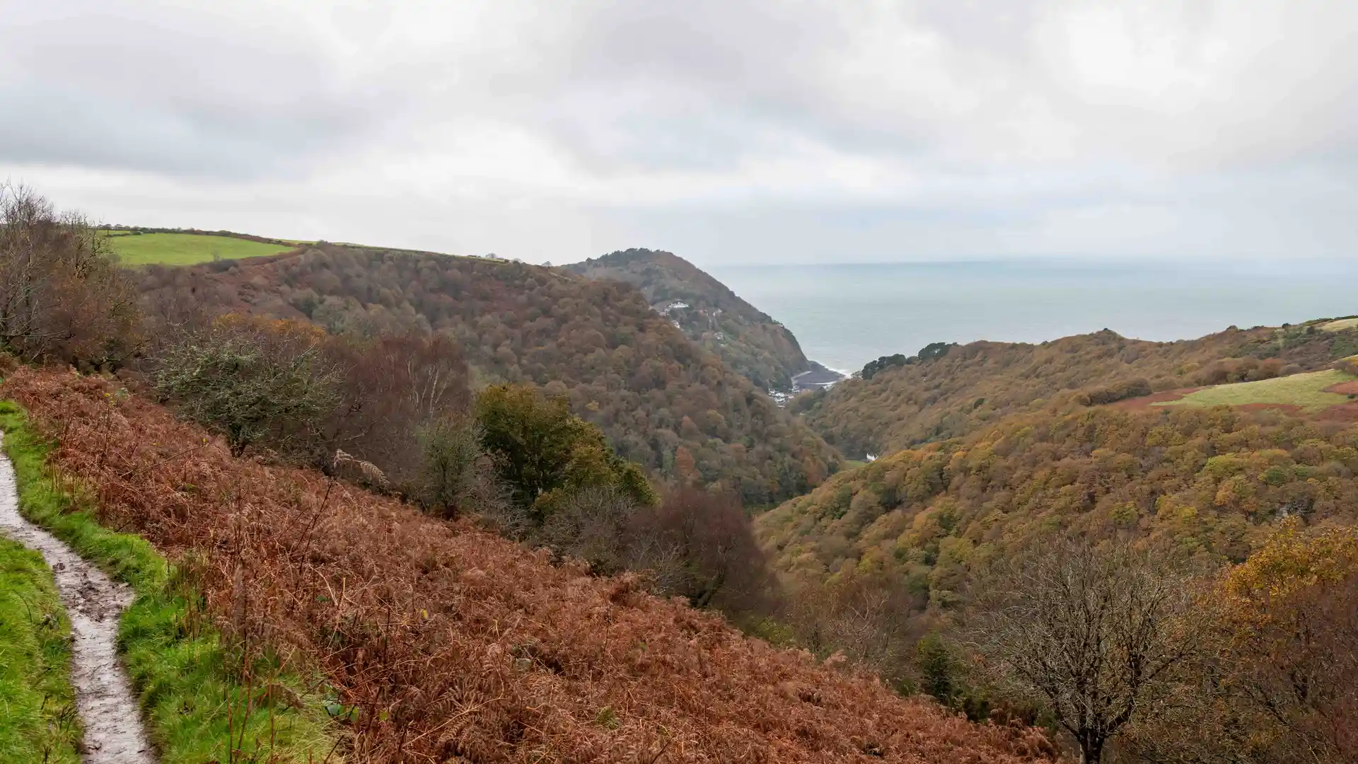 Two Moors Way descending through wooded valley on Exmoor.