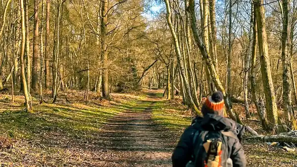File name (SEO-friendly) peddars-way-forest-path-knettishall-heath.jpg ⸻ Alt text (clean + descriptive) Woodland path at Knettishall Heath along the start of the Peddars Way, with a walker heading north through Breckland forest.