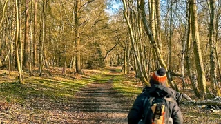 File name (SEO-friendly)  peddars-way-forest-path-knettishall-heath.jpg  ⸻  Alt text (clean + descriptive)  Woodland path at Knettishall Heath along the start of the Peddars Way, with a walker heading north through Breckland forest.