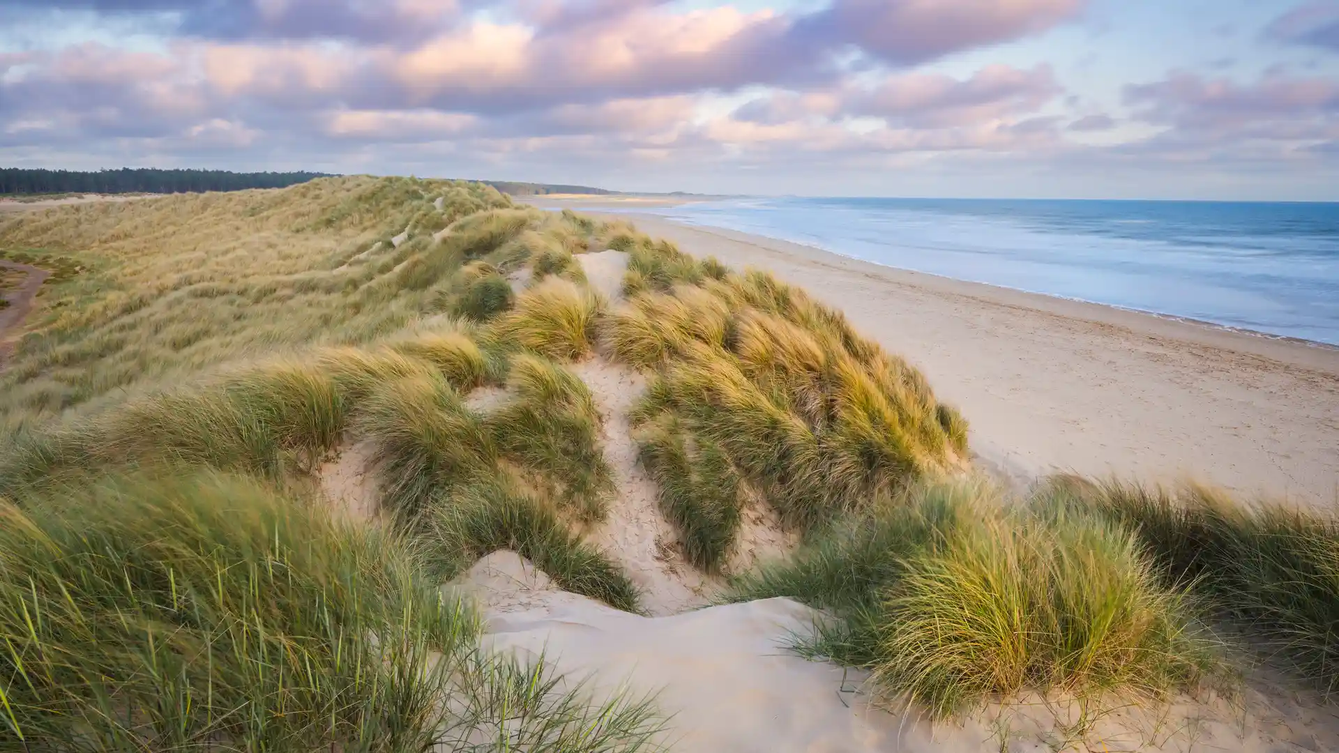 Sand dunes and grassy ridges at Holkham Beach on the Norfolk Coast Path with wide sandy shoreline and sea.