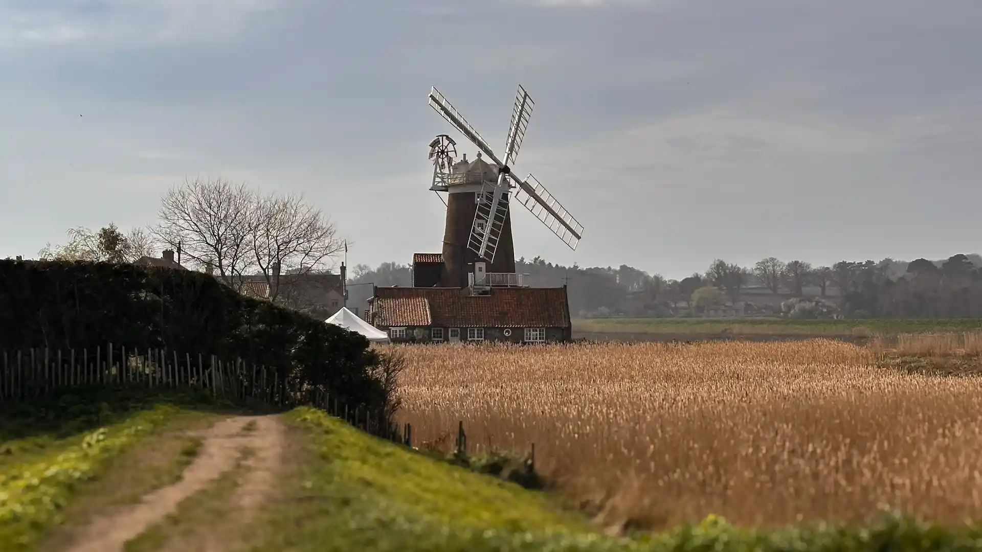 Cley Windmill beside marshland near the Norfolk Coast Path with reeds and open landscape in the foreground.