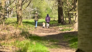 Woodland path on the Peddars Way at Knettishall Heath with people walking near the start of the route.