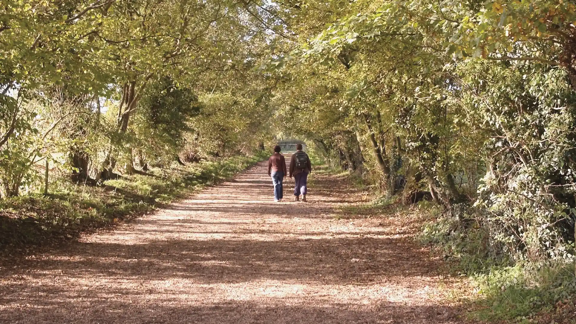 Walkers following a tree-lined section of the Heart of England Way through woodland and countryside in the English Midlands.