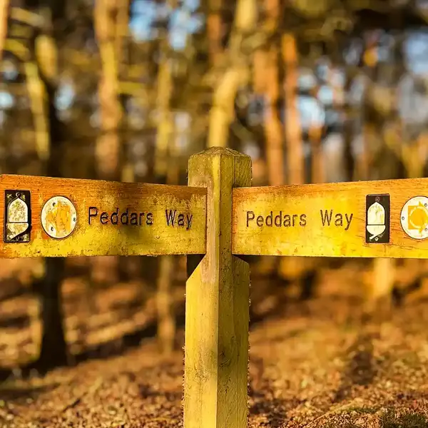 Wooden Peddars Way National Trail signpost in Breckland forest marking the route through Norfolk.