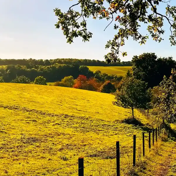 Autumn countryside along the Stour Valley Path in Dedham Vale National Landscape, Suffolk.