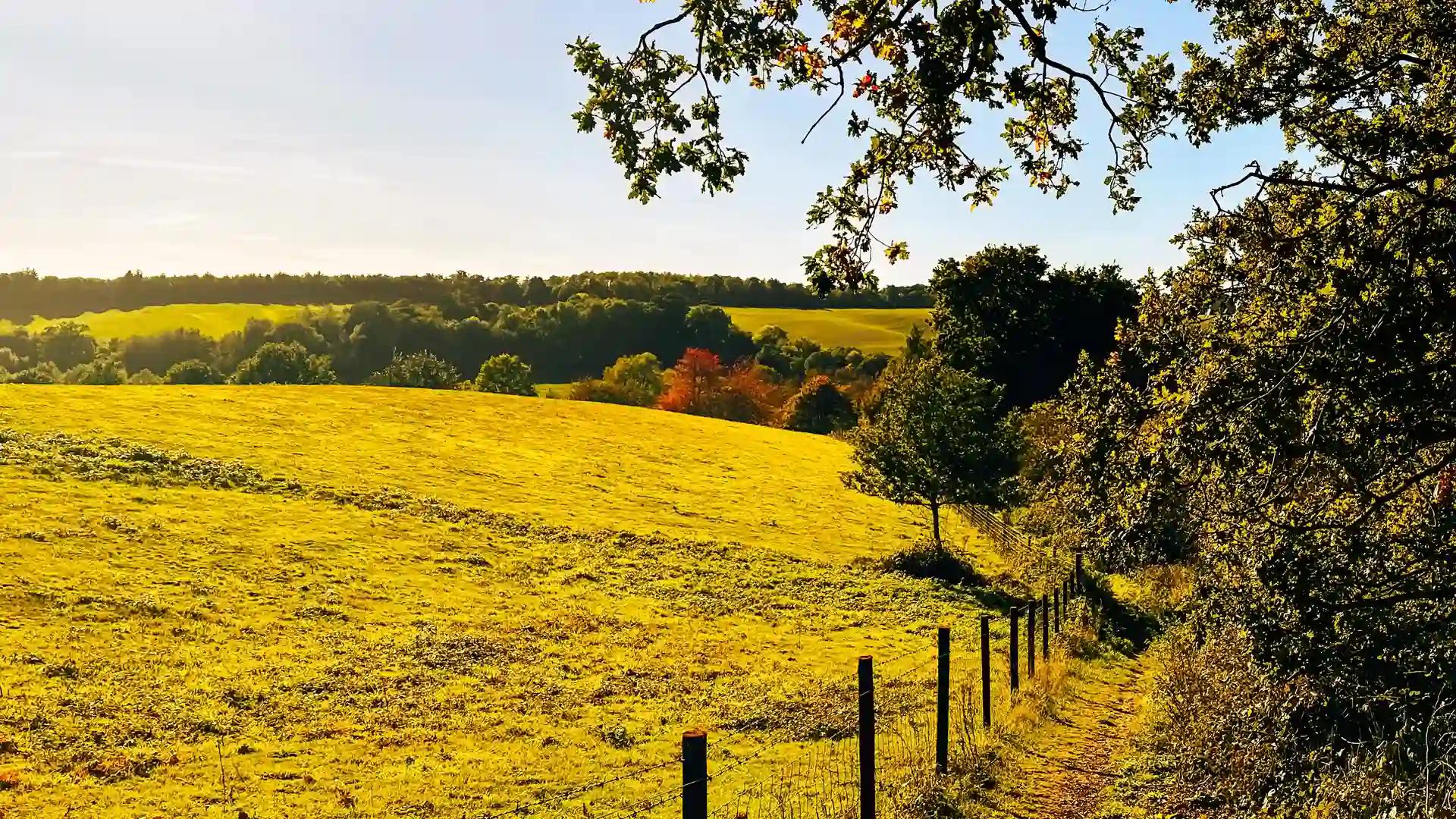 Autumn countryside along the Stour Valley Path in Dedham Vale National Landscape, Suffolk.