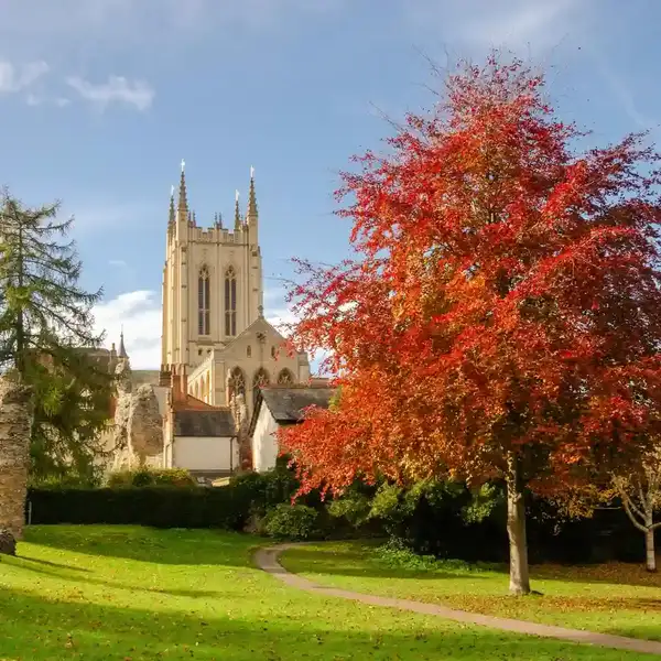 Autumn foliage in the Abbey Gardens beneath St Edmundsbury Cathedral in Bury St Edmunds, Suffolk.