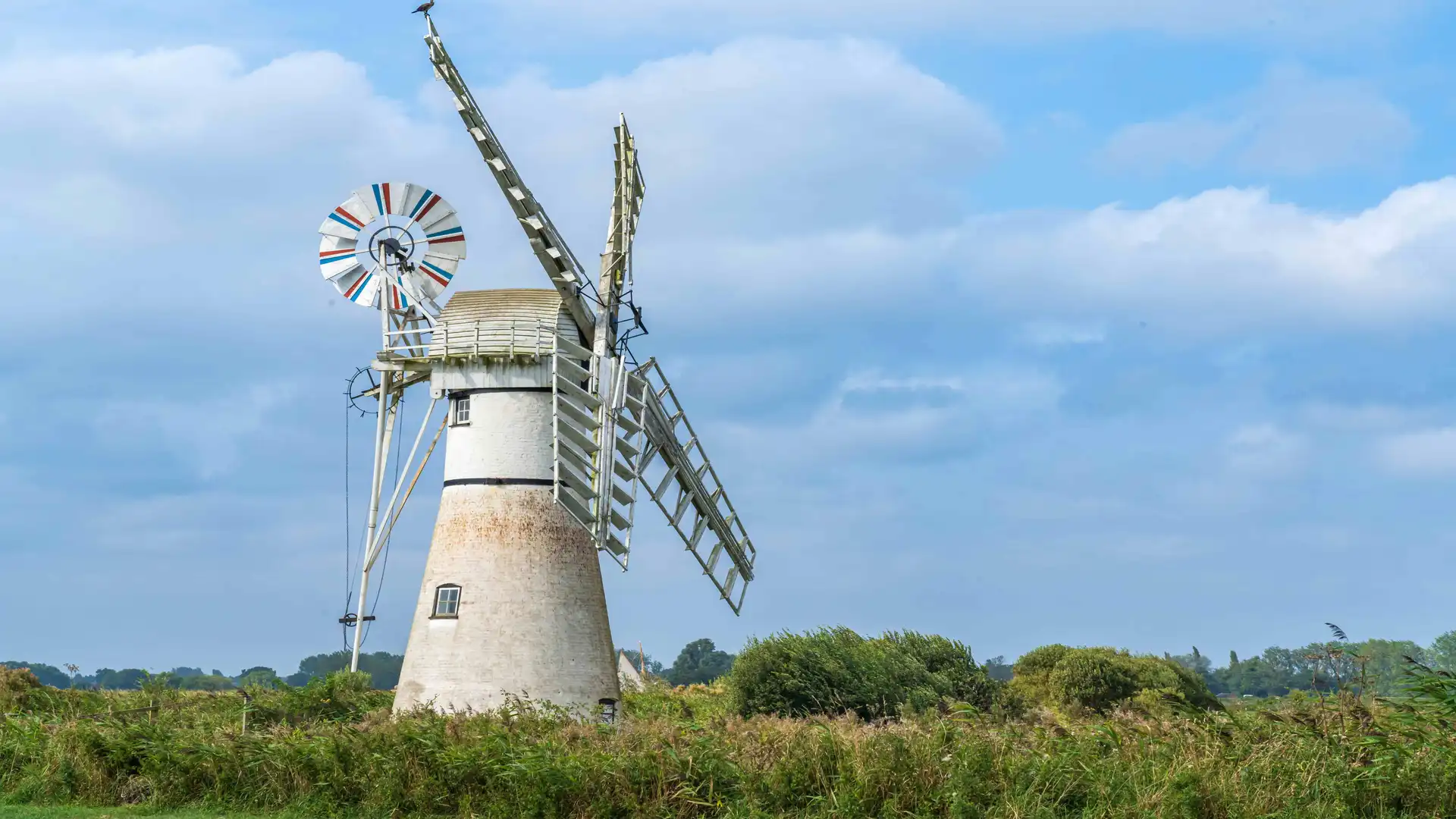 Thurne Windmill on the Weavers' Way, standing above the marshes of the Norfolk Broads.