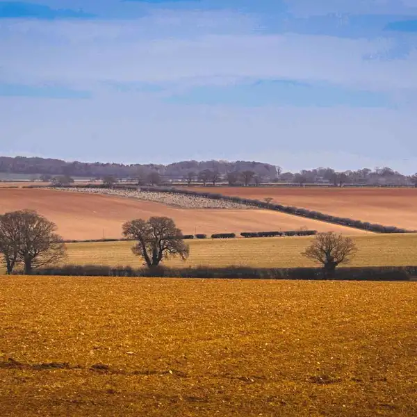 Open farmland and rolling countryside along the Peddars Way in Norfolk beneath wide East Anglian skies.