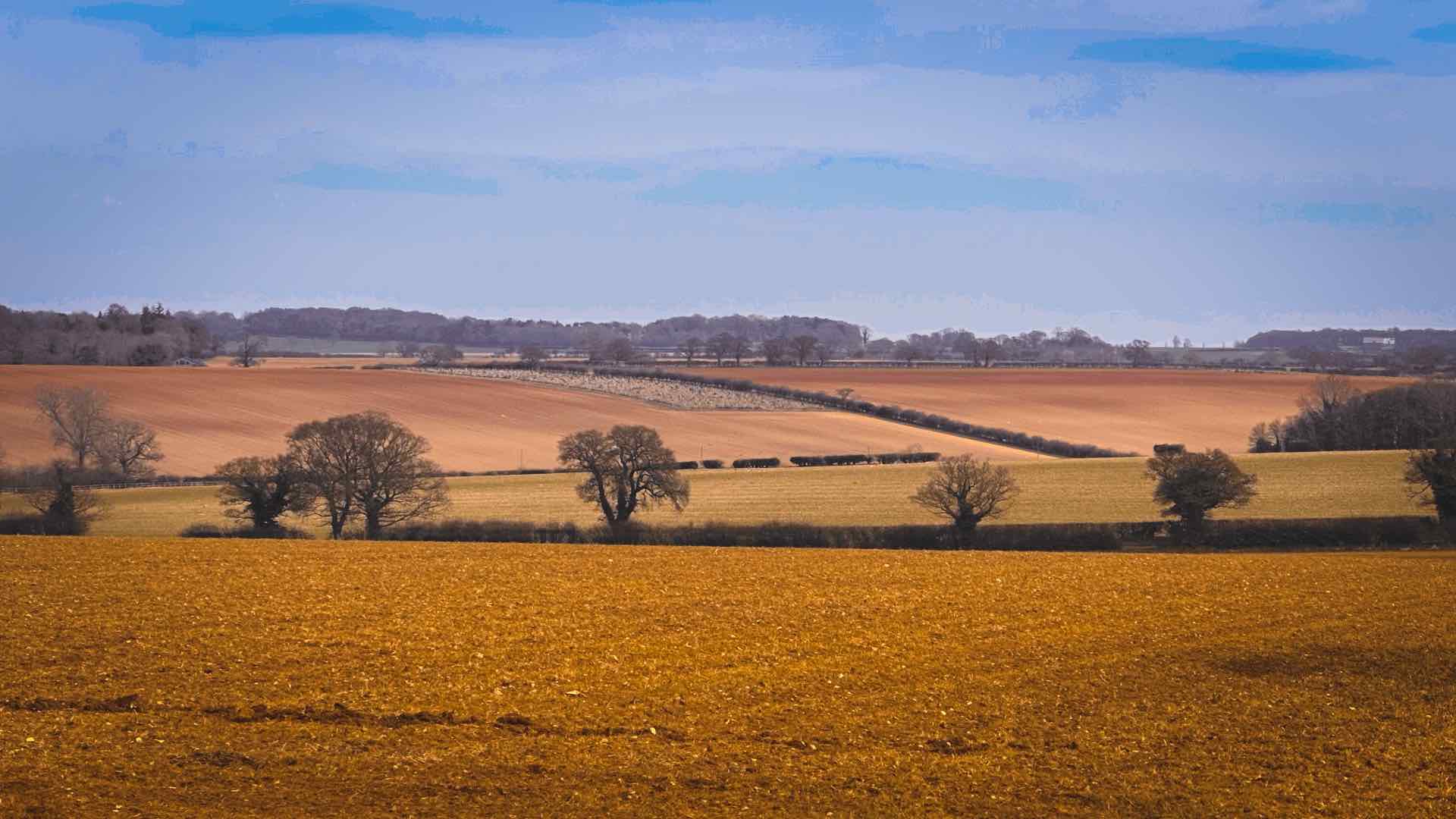 Open farmland and rolling countryside along the Peddars Way in Norfolk beneath wide East Anglian skies.