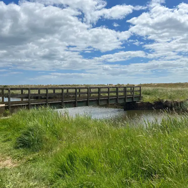 Footbridge crossing coastal marshes along the Suffolk Coast Path beneath wide East Anglian skies.