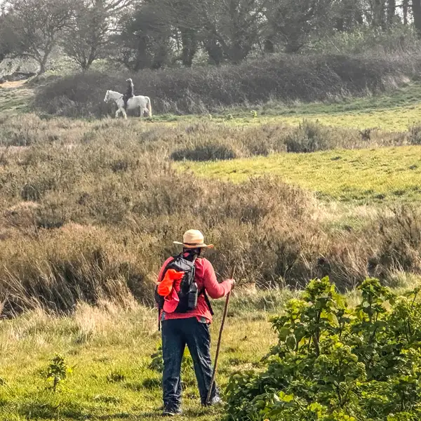 Walker crossing gently undulating heathland on the Norfolk Coast Path, showing the trail's easy-going terrain and open landscapes.