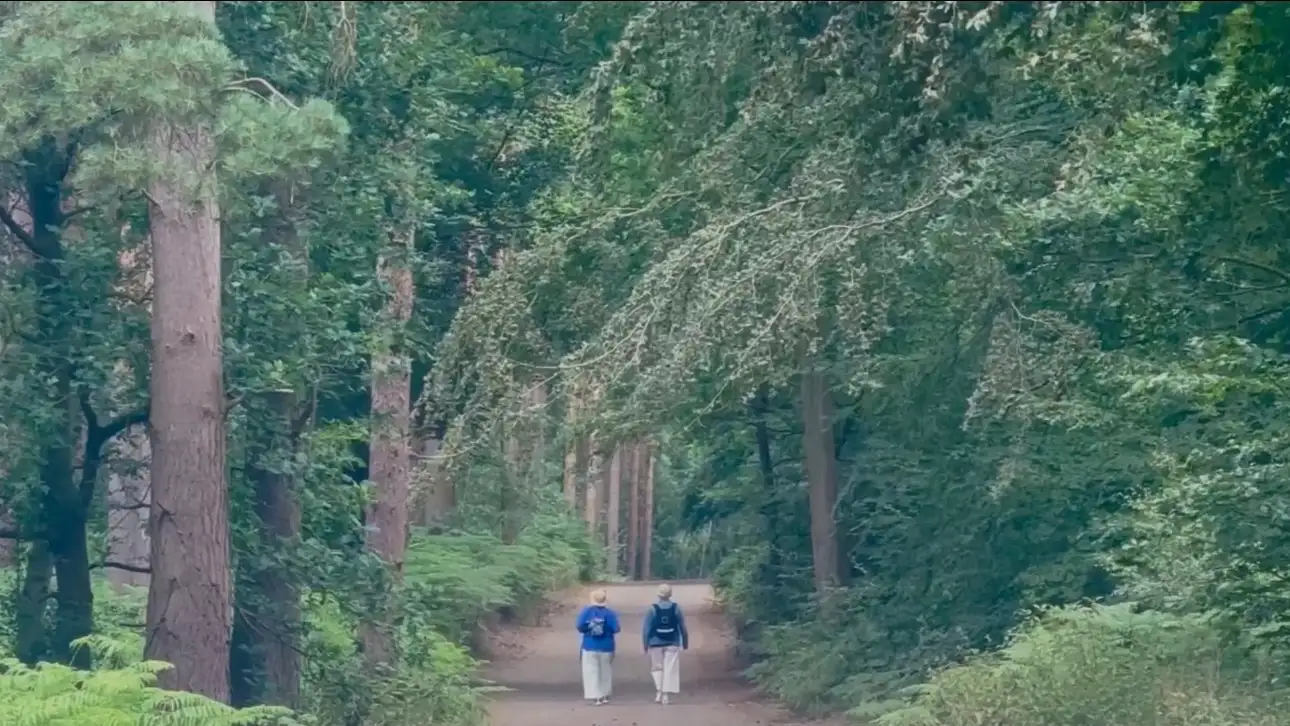 Woodland section of the Peddars Way near Knettishall Heath at the start of the journey.