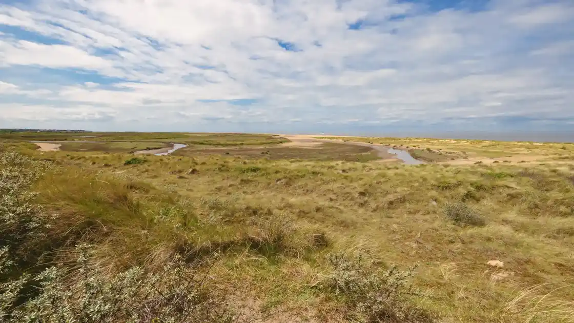Sand dunes, saltmarsh, and winding tidal channels at Holme Dunes National Nature Reserve on the North Norfolk coast.
