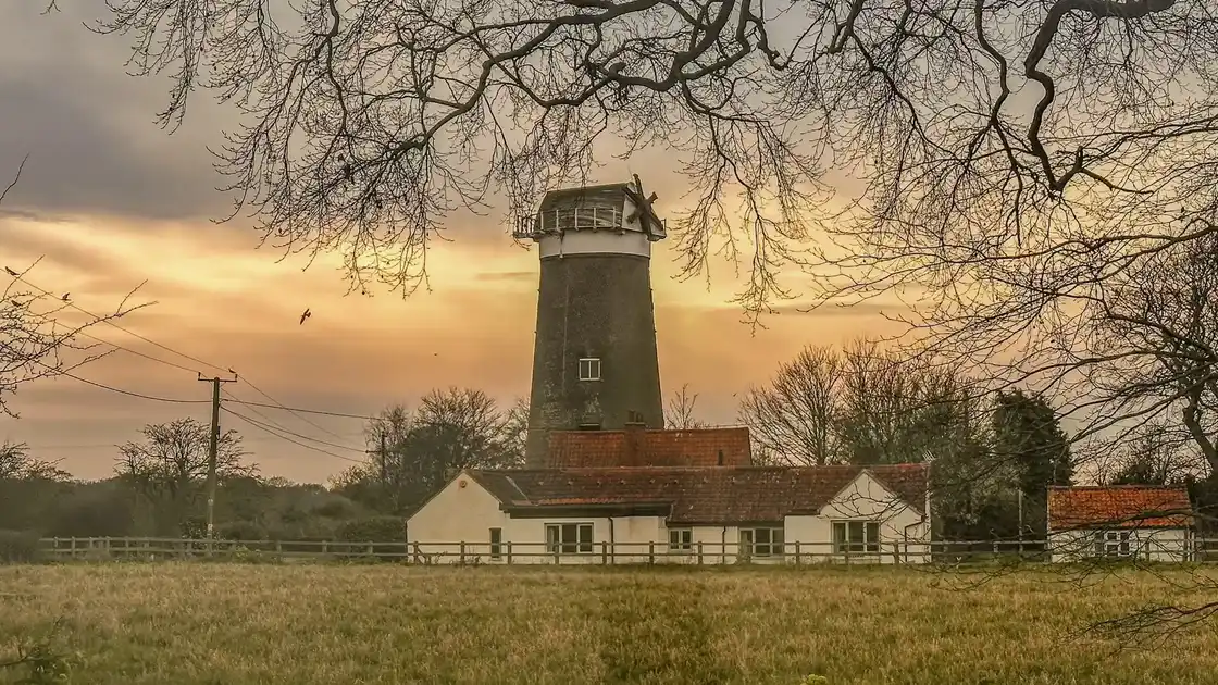 Ringstead windmill standing in open farmland at dusk, framed by bare tree branches in West Norfolk.