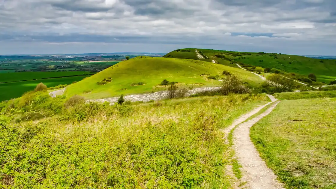 Chalk downland ridge path along the Icknield Way across rolling hills and open countryside in southern England.