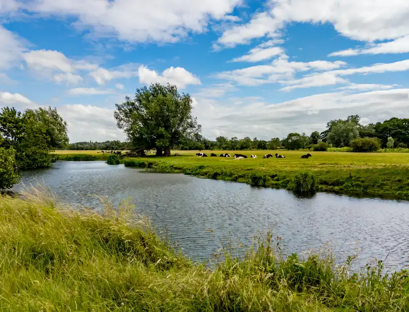 River flows through Dedham in Essex.