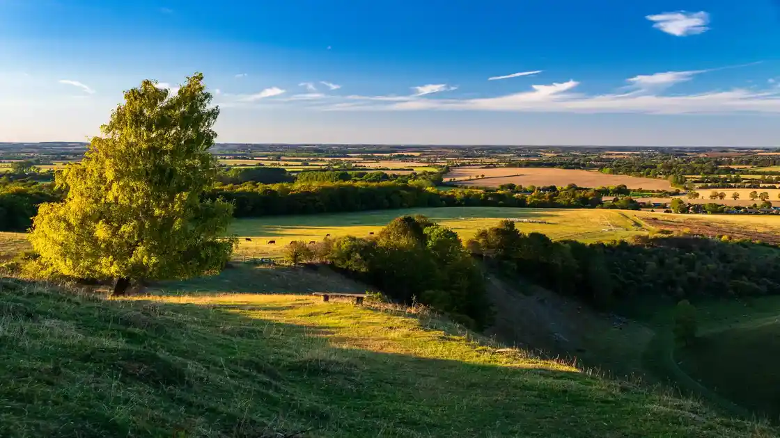 View across rolling fields, wooded valleys and open countryside from a grassy hillside in Bedfordshire.