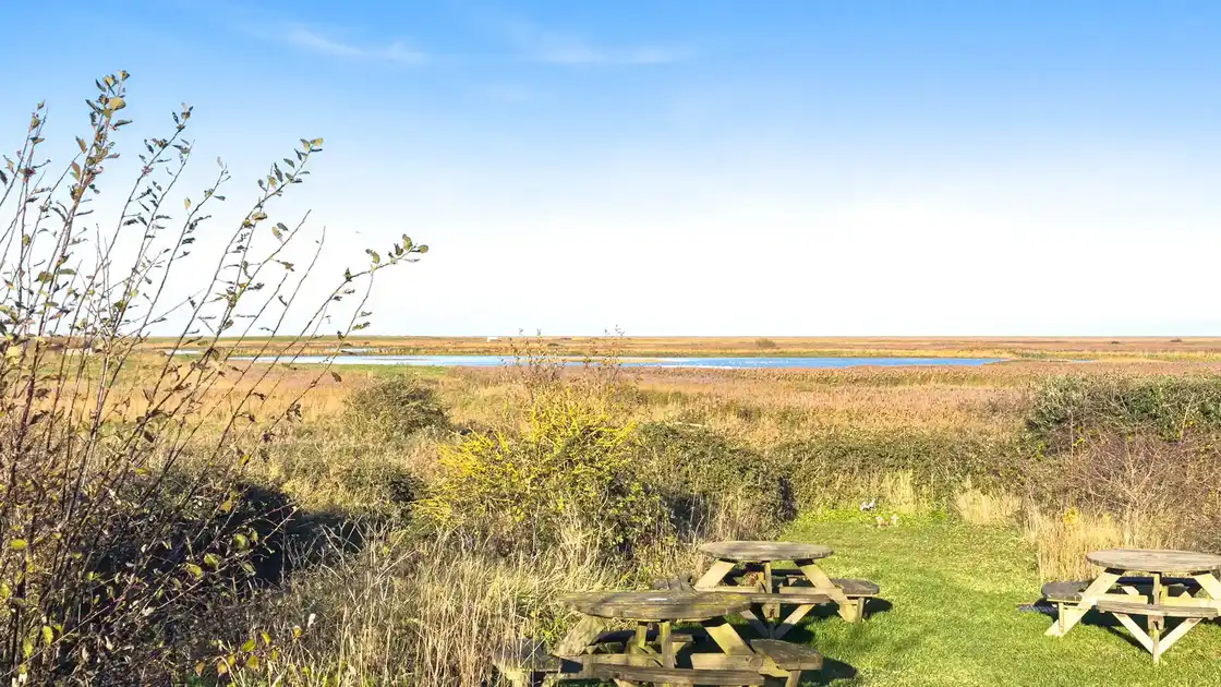 Saltmarsh and reedbeds at Cley Marshes on the Norfolk Coast Path.